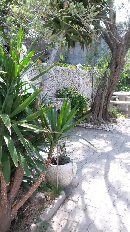 Apartments Padovan Banjol Luaran gambar